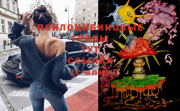 скорость Аркадак